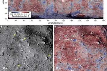 “隼鸟2号”的着陆极为细致地揭示“龙宫”小行星的表面