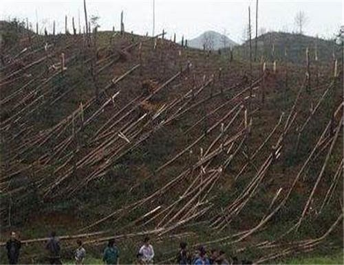 中国UFO事件：贵州空中怪车事发地，发生变异现象至今未解