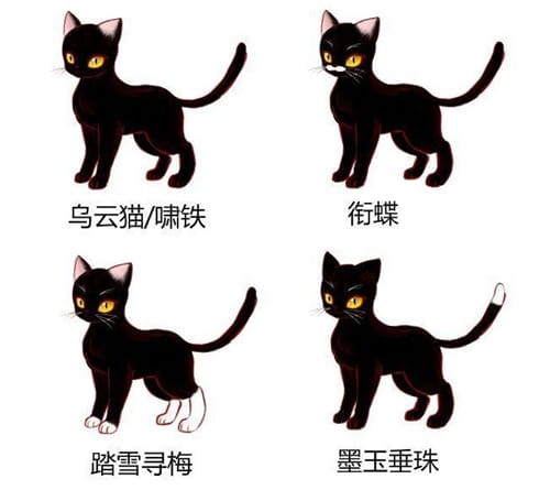 猫咪在古代的名字有哪些