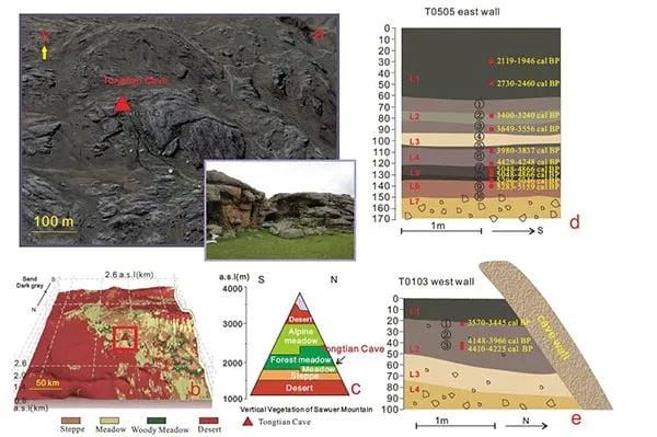 早期文明交流的草原之路新证据：阿尔泰山地5200年小麦和青稞