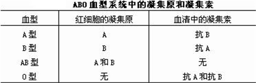 O型血真的是万能血吗