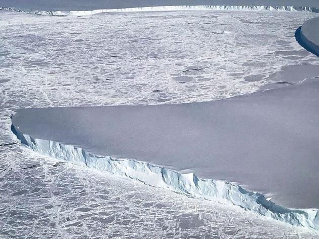 “雪球地球”时期的生物是如何存活的？