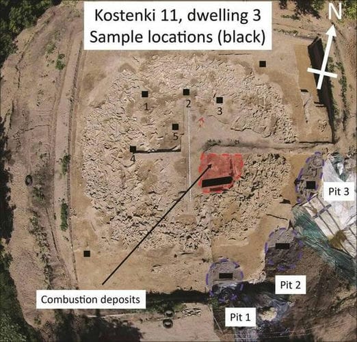 俄罗斯科斯捷尼基村发现2万年前冰河时代古人类遗址 用猛犸象骨头搭建房屋