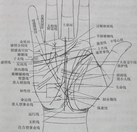 女人手纹线图解大全，这九种手纹的女人命好