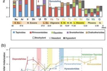 亚洲新生代奇蹄类多样性3990万年前中始新世晚期发生最大衰减