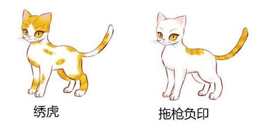 猫咪在古代的名字有哪些