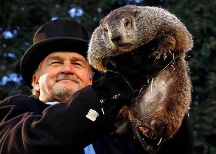 美国宾夕凡尼亚州著名土拨鼠“菲尔”（Punxsutawney Phil）预测距冬天结束尚余6周