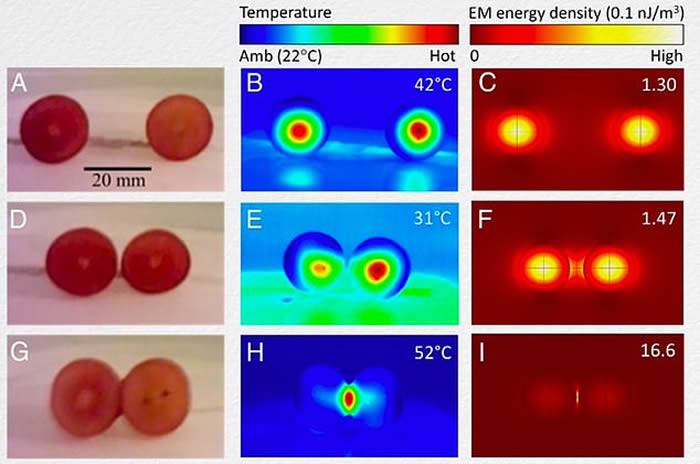 微波炉中两颗葡萄会变火球？科学家炸了12台微波炉终解多年谜题！