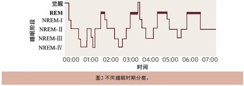 睡眠分期及各阶段特点