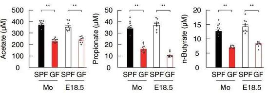 《科学》研究揭示母亲的肠道菌群如何影响孩子肥胖