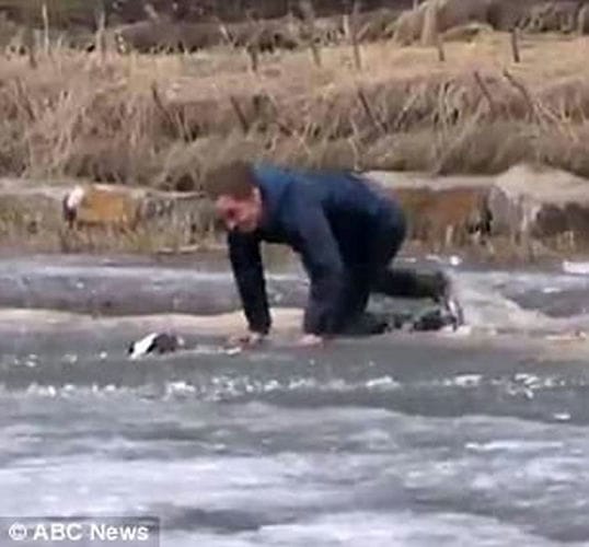 人狗情未了：加拿大男子扑冰湖救爱犬