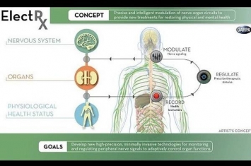 美军研高科技植入物 可刺激神经令器官自我治愈