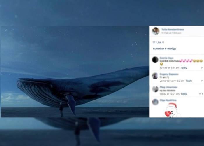 恐怖网络游戏“蓝鲸”（Blue Whale）在俄罗斯兴起 半年夺百命