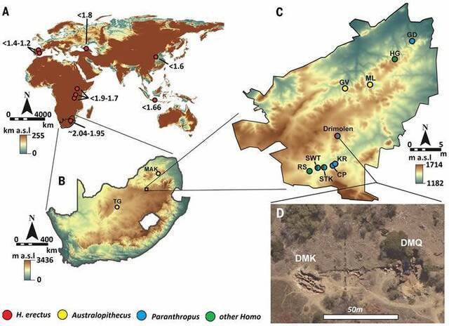 南非曾是3种古人类的家园 德里莫伦遗址出土200万年前非洲最古老直立人