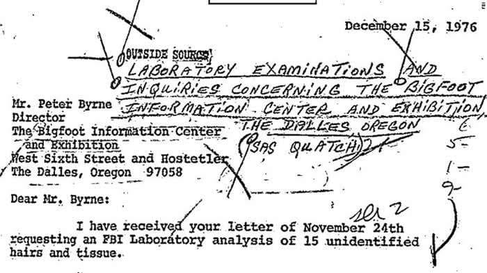 美国联邦调查局（FBI）公布研究1976年雪人样本相关文件：毛发属于鹿科动物