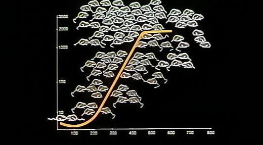 老鼠乌托邦实验是怎么回事？揭秘1780天的黑暗实验