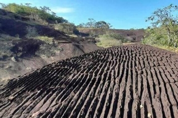 泰国汶甘府的普沃野生动物保护区发现大片地质奇观 石纹形似洗衣板