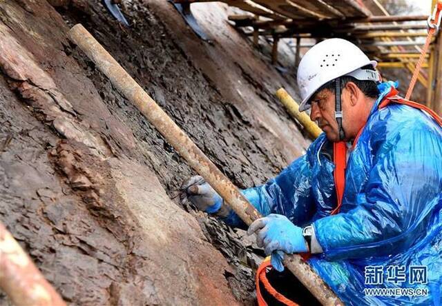 中希合作“保育”北京延庆恐龙足迹化石