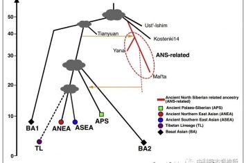 古DNA洞察欧亚大陆东部现代人演化历史