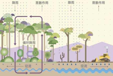 沙漠全部消失对人类有什么影响