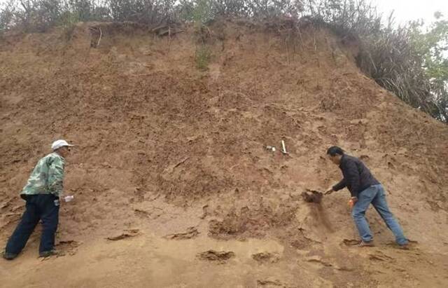 江西瑞昌多地发现旧石器时代石器