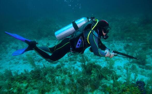 海底一万米吓疯潜水员，究竟海底深处有什么恐怖生物存在