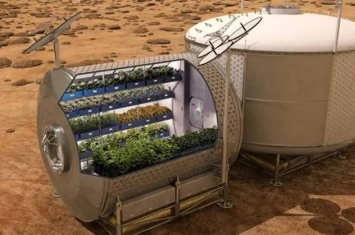 NASA推出“种生菜计划” 为执行长程任务的宇航员提供新鲜食物