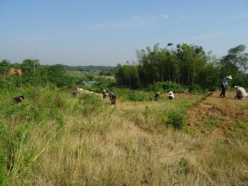 湖南常德津市澧水右岸新发现一处彭头山文化遗址