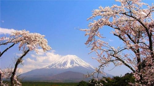 富士山是私人的吗