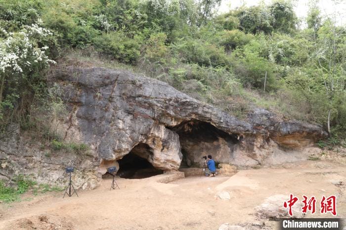 秦岭地区首次发掘出土早期现代人化石