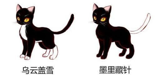 猫咪在古代的名字有哪些