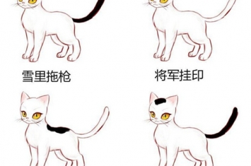 猫咪在古代的名字有哪些