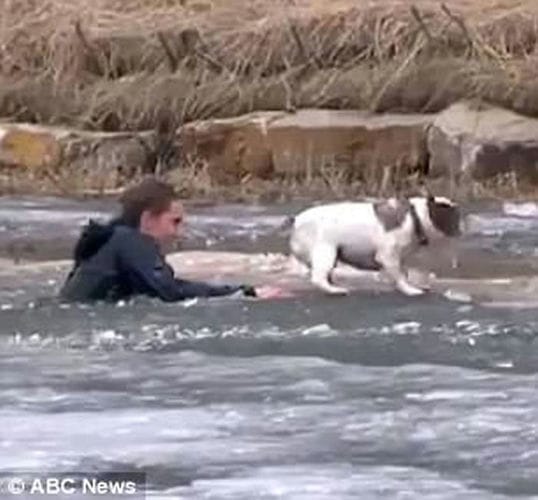 人狗情未了：加拿大男子扑冰湖救爱犬