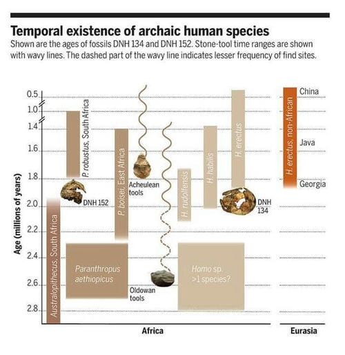 南非曾是3种古人类的家园 德里莫伦遗址出土200万年前非洲最古老直立人