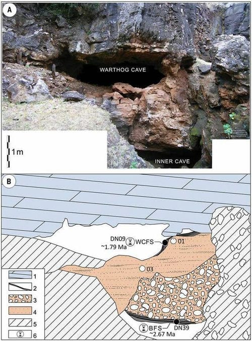 南非曾是3种古人类的家园 德里莫伦遗址出土200万年前非洲最古老直立人