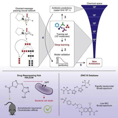 人工智能找到全新抗生素，可杀死超级耐药菌！