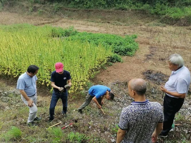 敢问路在何方，路在脚下——2020年度湘西矿冶遗址考古调查