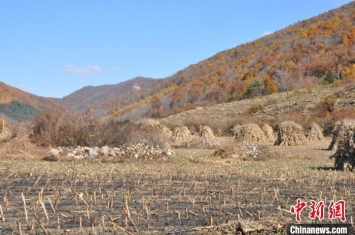 辽宁已发现高句丽遗迹300余处