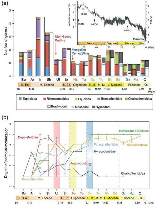 亚洲新生代奇蹄类多样性3990万年前中始新世晚期发生最大衰减