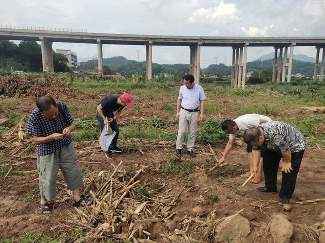 敢问路在何方，路在脚下——2020年度湘西矿冶遗址考古调查