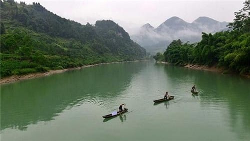 湖北洪湖龙潭水怪之谜，揭秘500余人看到的水怪究竟是什么