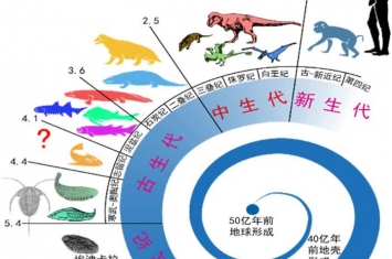 从古鱼类到人类的进化