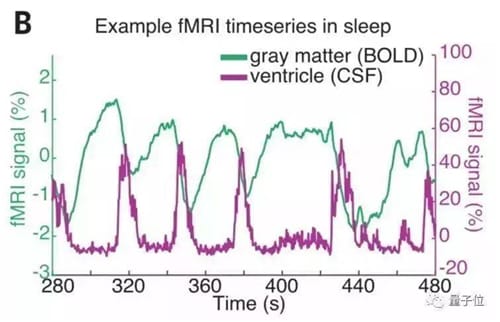 人睡着时清洗大脑全过程熬夜变傻有科学依据