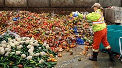 过期一天的食品到底能不能吃