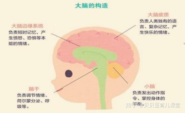 小孩有前世记忆，还能看到大人看不到的东西，是真是假？