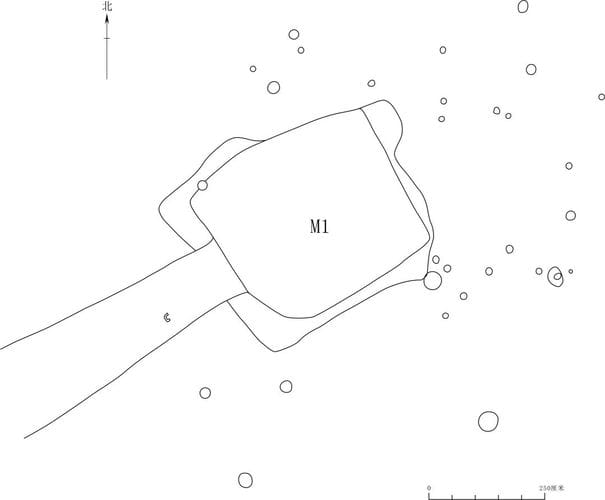 湖南保靖魏家寨遗址麻园堡墓群考古发掘情况介绍