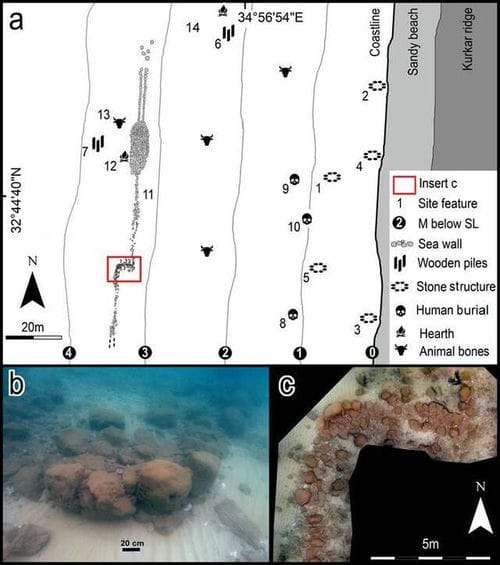 以色列海法大学考古学家在水下聚居地“特蕾西”发现7000年前堤坝