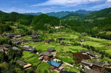 关田山苗寨有什么特色