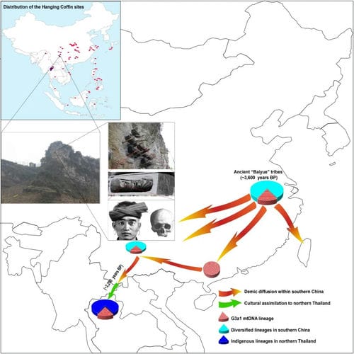 我国学者首次开展昭通等地悬棺人群古DNA测序