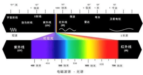 自然界为什么很少有蓝色的动物